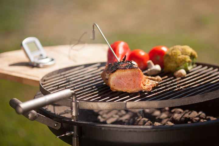 Why You Should Buy a Meat Thermometer