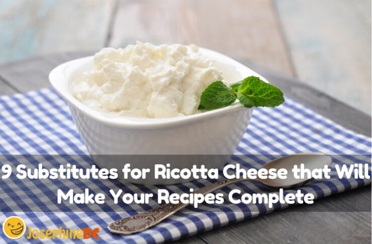 Did you run out of Ricotta cheese? Find a substitute for Ricotta cheese to solve your problem. Here are some suggestions you will find helpful. Read on!