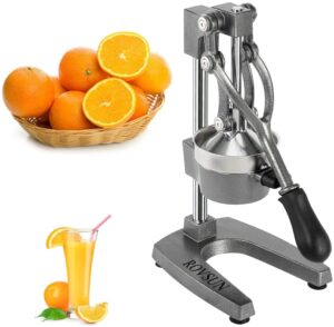 ROVSUN Commercial grade Manual Fruit Juicer