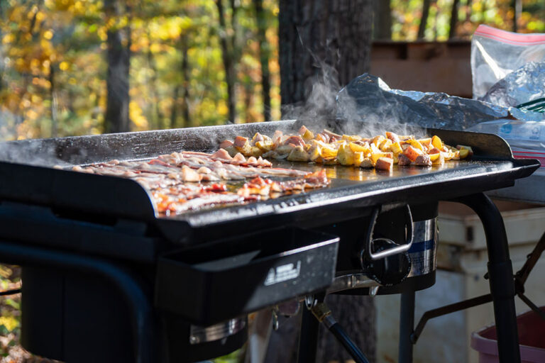 Best Griddle Grill